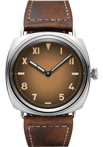 Panerai Radiomir California - 47mm - Patina Steel - PAM00931